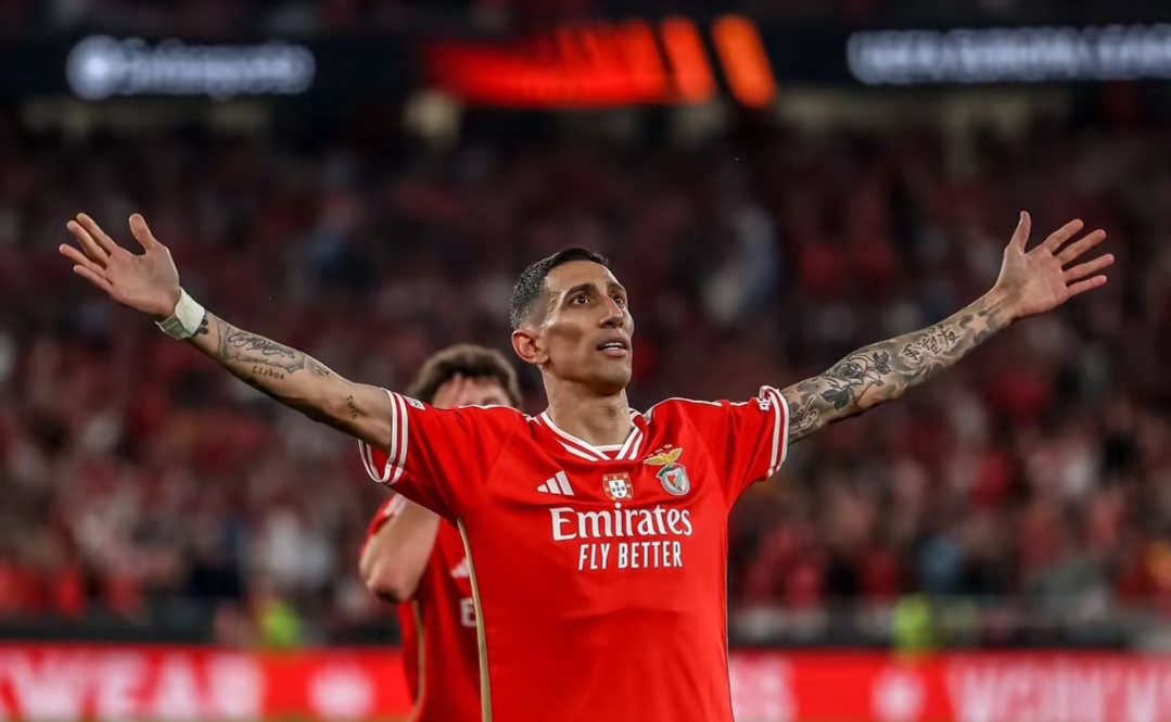 本菲卡迎西甲关键赛，今晚扳平良机，管理层满意，心理建设被强调 -爱游戏网页版